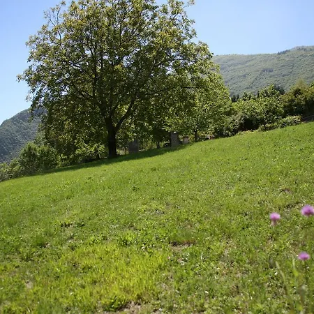 La Finestra Sul